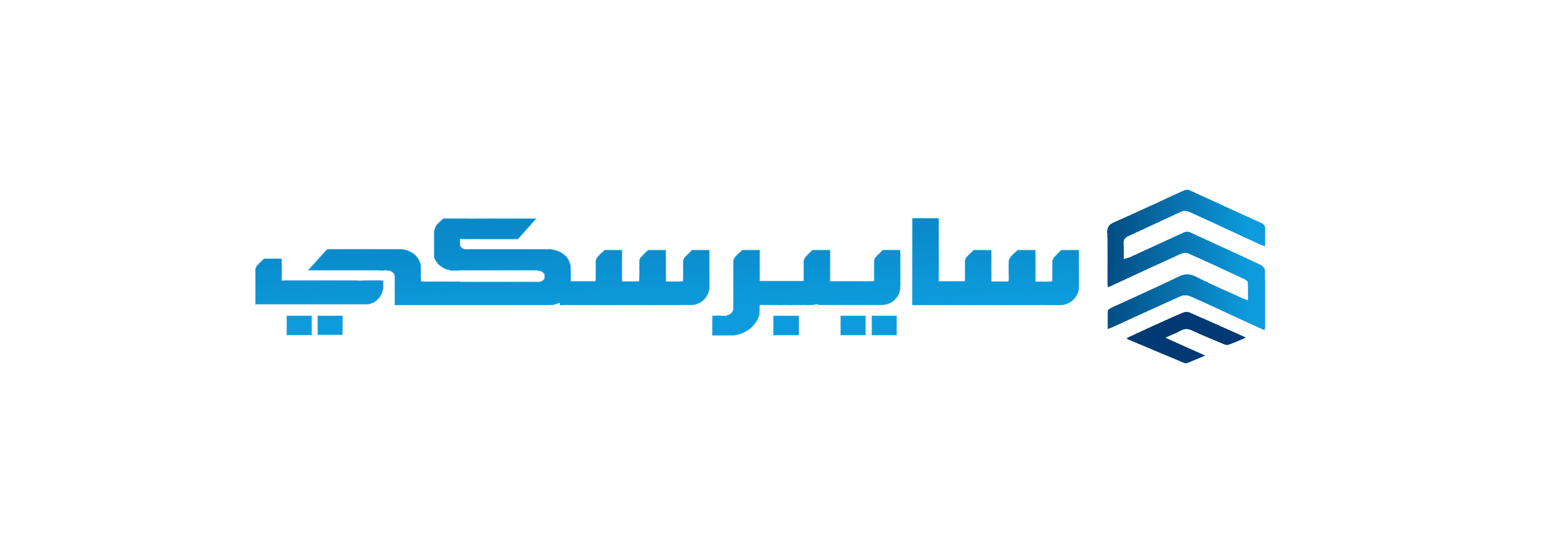 CyberSkii