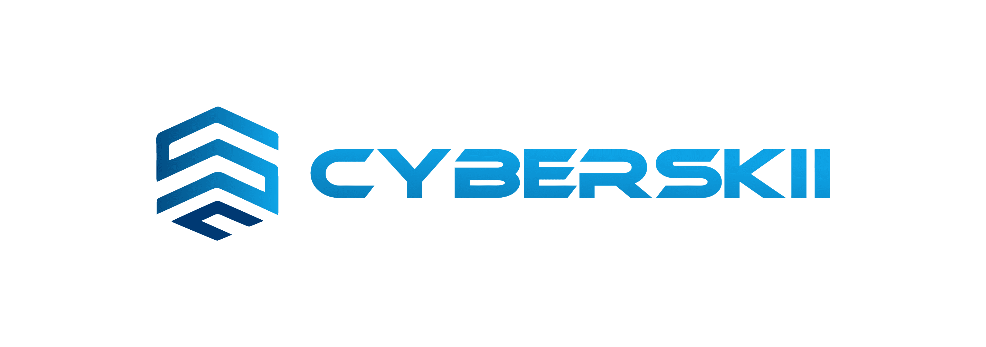 CyberSkii