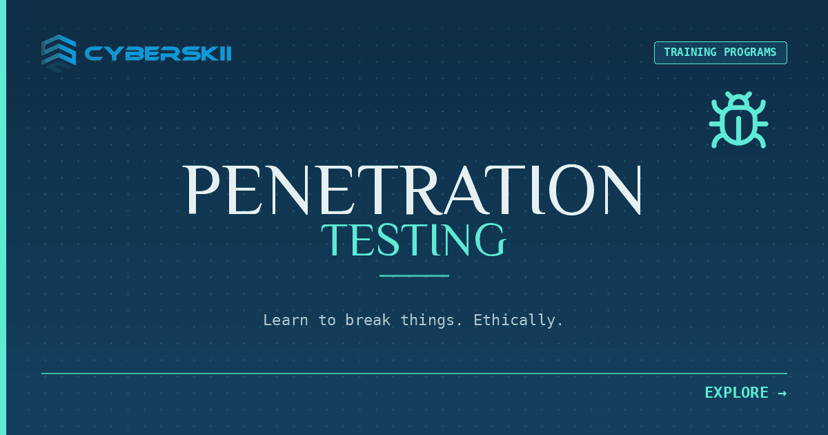 Penetration Testing