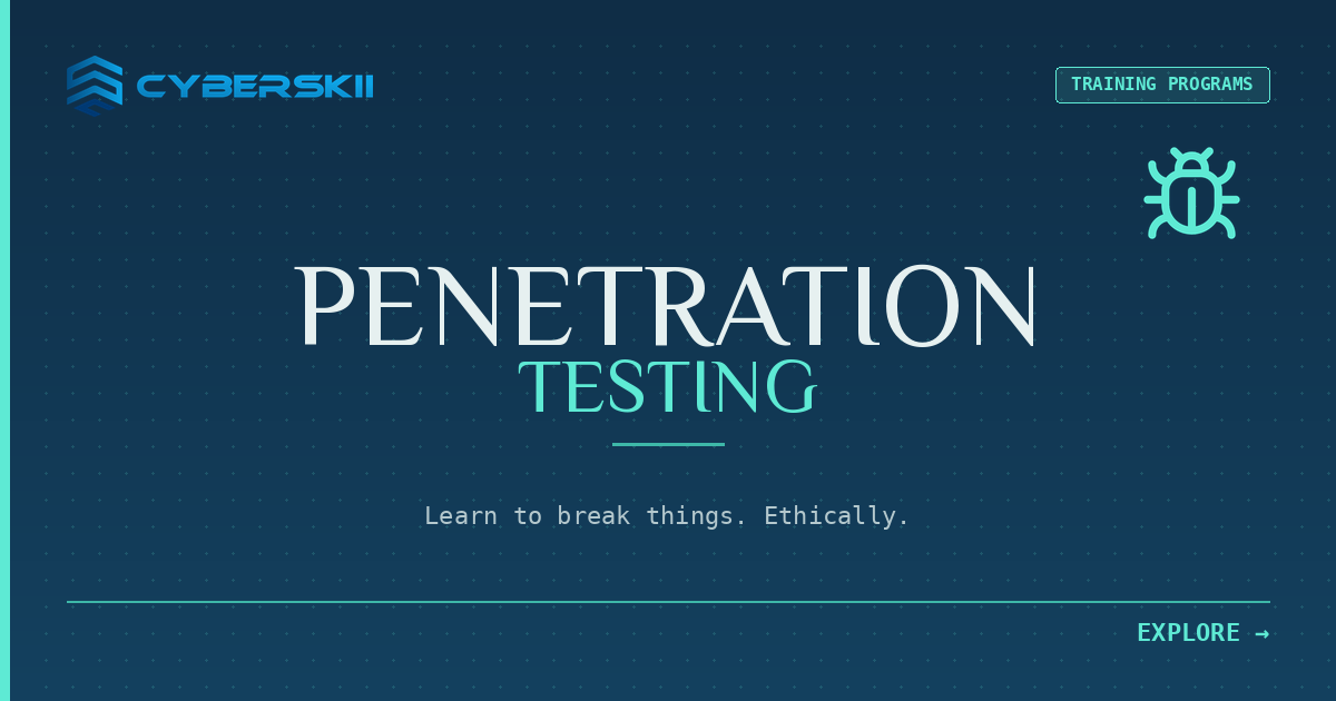 Penetration Testing